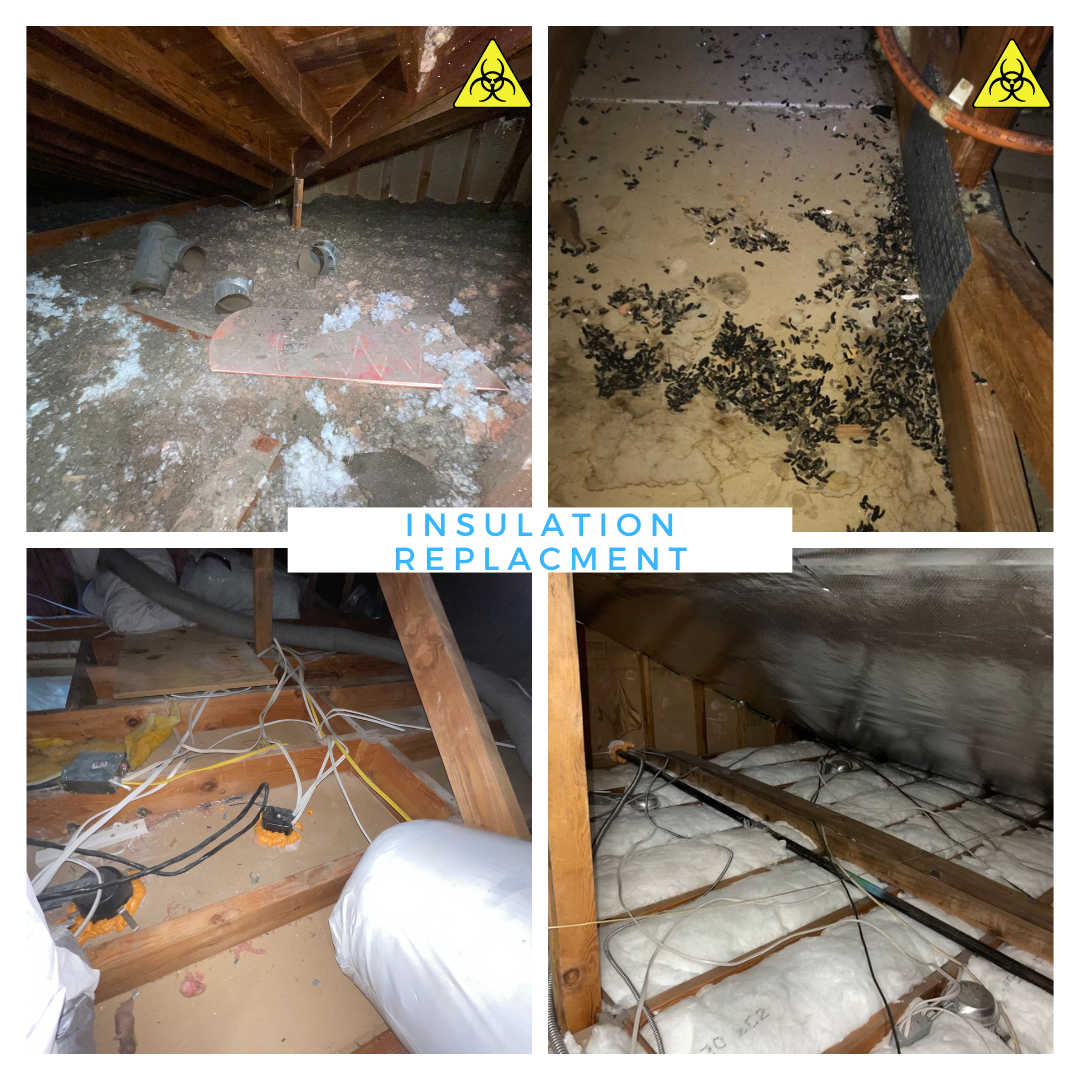 Insulation Replacement before& after
